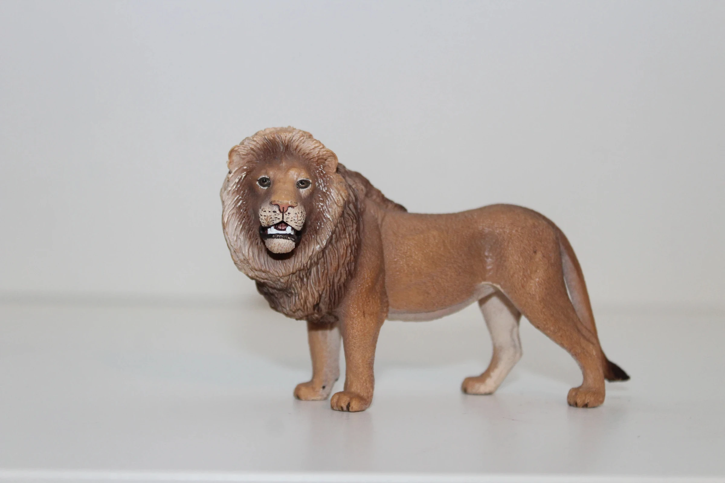 Figurine Lion - Schleich 2007